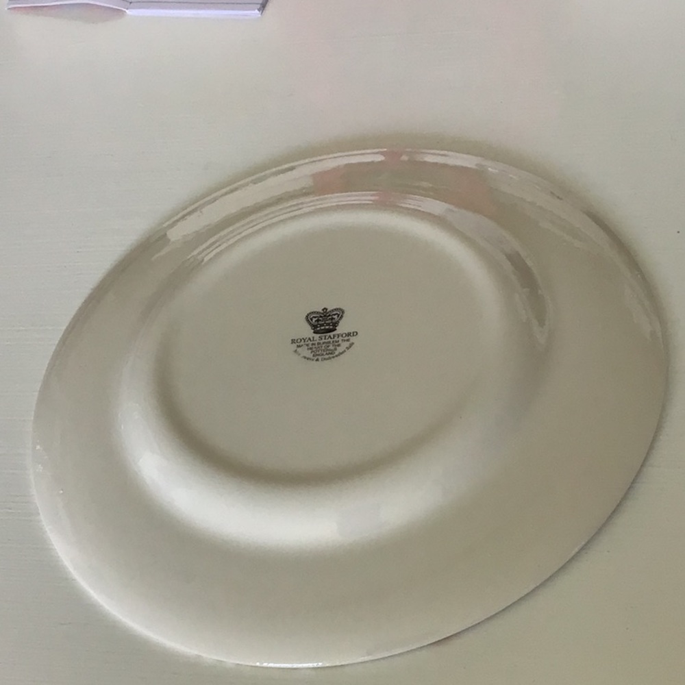 Royal Stafford Sketchbook 11” Dinner Plate! - Picture 3 of 4